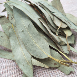 Huacan shu ye — thé à longue feuille <span class=keywords><strong>d</strong></span>'<span class=keywords><strong>eucalyptus</strong></span> vert naturel, séchées, à base <span class=keywords><strong>de</strong></span> plantes, nouvelle collection - Product Image 5