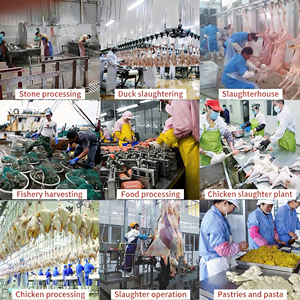 <span class=keywords><strong>Ropa</strong></span> de Trabajo Transpirable de Manga Larga para la Industria Alimentaria, Uniforme de Taller Unisex de Talla Grande, Lavable, Sin Decoloración, para Fábrica de Alimentos - Product Image 6