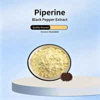 Extrait de poivre noir de qualité alimentaire Healthife en poudre 95% 98% de piperine, complément alimentaire à base de plantes