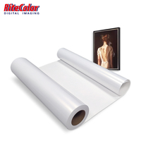 Papier photo métallique argenté microporeux RC ultra brillant compatible avec les imprimantes Epson, Canon