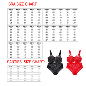 <span class=keywords><strong>Soutien</strong></span>-<span class=keywords><strong>gorge</strong></span> push-up sans doublure à armatures, grandes tailles, effet liftant, pour poitrines généreuses, sexy, en dentelle froncée, 75 80 85 90 95 DEFGHIJKL 80001 - Product Image 2