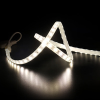 Bande LED IP65 en PVC pour éclairage de rue et lumières décoratives 3000K-6000K 24V/110V/220V