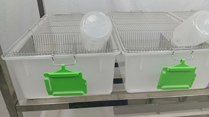 Cage à rats en polypropylène pour usage en laboratoire avec couvercle en fil d'acier inoxydable pour la <span class=keywords><strong>recherche</strong></span> et l'élevage animale - Product Image 5