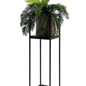 Support à plantes à 2 niveaux en acier carbone noir pour intérieur, rangement domestique - Product Image 5