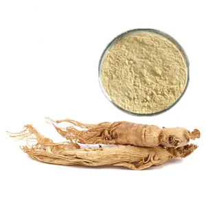 उच्च गुणवत्ता निकालने 80% ginseng के पत्ते का रस ginseng पाउडर