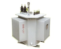 Transformador de Potencia Trifásico Toroidal Sumergido en Aceite de Alta Calidad, Reductor de Voltaje de 11kV a 48V CA, 2000KVA S11-2000KVA