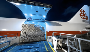 Spedizione espresso porta a porta aerea dalla Cina al Kazakistan Uzbekistan Belarus tariffe di trasporto incluse - Product Image 2