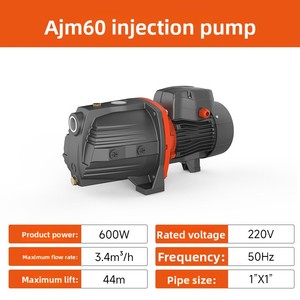 Pompe à jet auto-amorçante haute pression série <span class=keywords><strong>AJM</strong></span> 600W/750W 220V 50Hz avec moteur 1 an de garantie pour l'alimentation en eau domestique et l'irrigation des jardins - Product Image 3