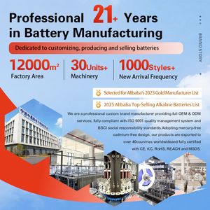 AA <span class=keywords><strong>1</strong></span>.5V 알카라인 배터리 LR6 AM-3 산업용 일차 전지 CE 인증 - OEM/ODM 가능 - Product Image 2