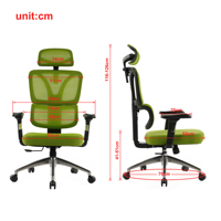 Hauteur du dossier réglable, mécanisme de verrouillage à trois niveaux, base en aluminium à cinq branches, accoudoirs 4D, chaise ergonomique en mesh vert