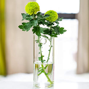 Hand geblasenes Wandbehang rundes Glasrohr Vase Pflanzer Pflanzen <span class=keywords><strong>terrarium</strong></span> für Haupt dekoration - Product Image 5