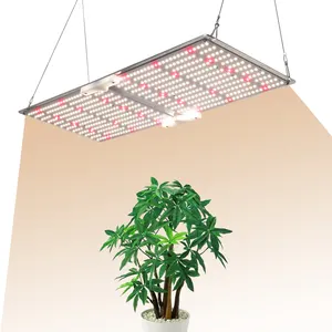 Papan Lampu Pertumbuhan LED Spektrum Penuh G2000 240W, dengan Kenop Dimmable Samsung LM301B MW Driver