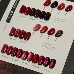 Ensemble de vernis à ongles gel effet œil de chat magnétique UV 10 couleurs avec présentoir pour salon de manucure - Product Image 4