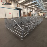 Stall de gestation pour truies, fabricant direct d'équipements d'élevage porcin en acier galvanisé, taille personnalisée, vente en gros