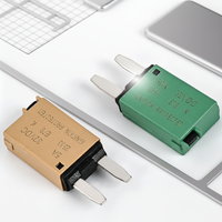 Disjoncteur miniature E79 32VDC à profil bas, style lame, à réinitialisation automatique, porte-fusible en ligne, capacité de coupure moyenne pour applications marines et solaires