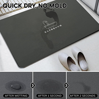 Tapis en diatomite à dos en caoutchouc et tapis de bain super absorbant en diatomite, barrière anti-salissures, séchage rapide, pour porte ou cuisine