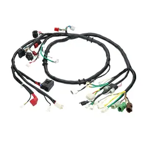Customized Manufacturing Car Complete Automotive Automobile Auto Connectors Custom Wire Harness Cable Assembly