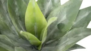 36cm Artificial Simulated Plastics Plants Manufacturer Home Ornamental Garden Decor Bonsai Realistic Asparagaceae Agave