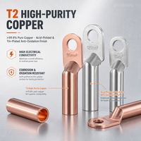 Embout de câble en cuivre pur série DT DT10-300, embout de sertissage par compression pour connexion de mise à la terre des câbles d'alimentation