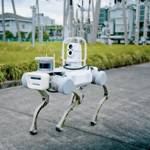 <span class=keywords><strong>Figurine</strong></span> de <span class=keywords><strong>patrouille</strong></span> de chien robot, jouet patte de chien robot - Product Image 1
