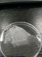 Impresora 3D Bio para Figuras Humanas, Suministro de Fábrica para Impresora de Hidrogel, Impresora 3D Bio para Laboratorio