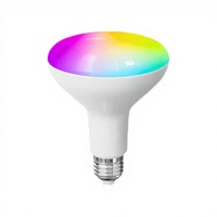 Ampoule LED intelligente Nishi BR30BR40 RGCW pour contrôle vocal et par application, ampoule d'ambiance de jardin en aluminium E26 120V