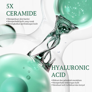 KORMESIC – Kit de Soins Visage et Corps Certifié Bpom, Formule Adulte, Réparation de la Barrière Cutanée 5X Céramide + Acide Hyaluronique, Marque Privée - Product Image 3