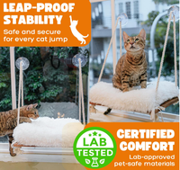 Perchoir de fenêtre en bois massif pour chat avec ventouses puissantes conception de lit hamac capacité de charge gain de place pour lit monté sur fenêtre