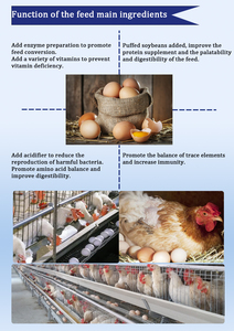 Aditivos para Alimento Premezclado para Pollos de Crecimiento Rápido y Nutrición Equilibrada, Aceleran el Aumento de Peso y Mejoran la Tasa de Conversión de Alimentos - Product Image 6