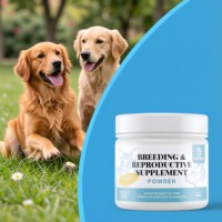 Suplemen OEM Stud untuk Anjing & Kucing Meningkatkan Libido dan Meningkatkan Jumlah Sperma dengan Bubuk Kesehatan Pencernaan