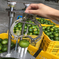 Commerciële Of Thuis Gebruik Hand Bediening Goedkope Fruit Skin Cutter Mandarijn Oranje Peeling Dunschiller Machine