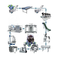 ORME Industriële Jamproductielijn voor tomatenpuree, rode dadelpuree, perenpuree, mangopuree, ananaspuree, graanachtige jam, fruitpuree machines