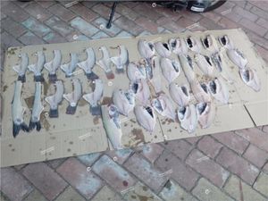 Machine à découper les filets de sardines GB-180 - Product Image 3