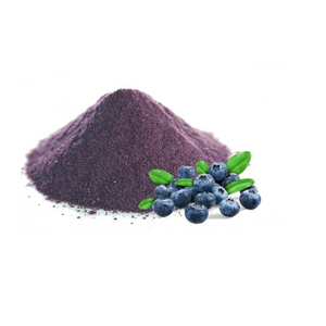 Blueberry Fruit Extract Spray Dried Dry Extract Powder Manufacturer Specializing In Natural Berry Extract Production For Bulk - Product Image 2