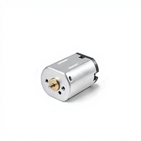 Moteur micro CC à balais FFN20 personnalisé Faradyi Factory, efficacité IE1, 17g, pour instrument cosmétique, serrure intelligente, mini servo, beauté
