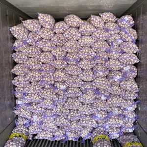 Chất Lượng Cao Hữu Cơ Bình Thường Tỏi Trắng Tươi Trắng 5.5Cm 10Kg Trong Lưới Túi Chi Phí Hiệu Quả Cho Thực Phẩm Sử Dụng - Product Image 1