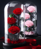Grande Rose Éternelle Sous Cloche en Verre, Cadeau Créatif Fête des Mères Saint-Valentin, Décoration Maison, Vente en Gros