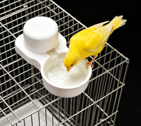 Abreuvoir automatique rond pour oiseaux CT W131, grande capacité, en plastique, résistant aux chutes, accessoires pour cage à oiseaux, toutes saisons, Shanxi