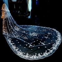 Feishiluo Luxury3D Fleur Appliques Bord De Mariage Voiles De Mariée Deux Couches Tulle Cathédrale Visage Voile Avec Peigne 3.5m De Long