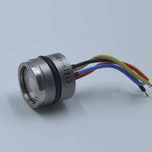 Trung Quốc ± 0.25% FS độ chính xác cảm biến áp suất SS316L Vật liệu đo áp suất để bán - Product Image 5