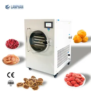 High Quality Commercial Herbal Food Freeze Drying Equipment Vacuum Lyophilizer Freeze Dryer Machine Price Low