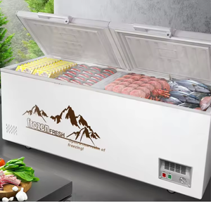Congelador Horizontal de Gran Capacidad, Congelador Comercial de Doble Tapa con Ruedas para Supermercados y Tiendas de Comestibles - Product Image 1
