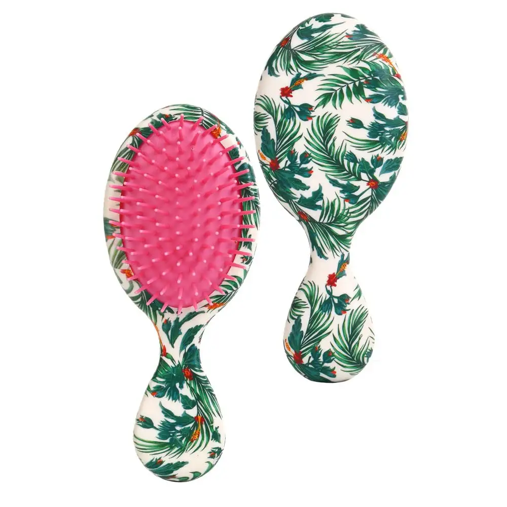 Fashion Cute Water Transfer Printing Kids Curly Hair Brush With 3pcs Hair Elastic Gift Detangling Hair Brush combs