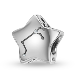 नई हॉट सेलिंग s925 स्टर्लिंग चांदी बारह तारामंडल सरल लोकप्रिय ब्रैसलेट डिय गहने - Product Image 4