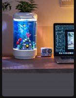 Aquarium aquaponique de bureau, aquarium de bureau intérieur avec culture de plantes, lumière LED supérieure, décoration pour la maison et le bureau, logo personnalisé OEM