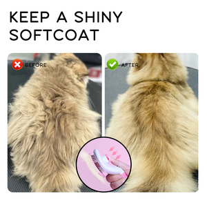 Brosse lissante pour chien à un bouton, brosse de nettoyage et de toilettage pour animaux de compagnie - Product Image 6