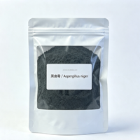 Enzymes d'Aspergillus Niger de qualité alimentaire 5 milliards d'UFC/g Poudre fine uniforme Favorise la nutrition et la croissance saine Additif alimentaire