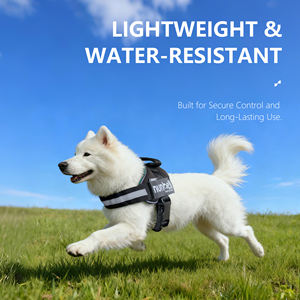 Harness Anjing Nunbell Berbahan Jaring Bernapas untuk Latihan Luar Ruangan, Anti Tarik Reflektif dengan Patch ID Khusus dan Ukuran yang Dapat Disesuaikan - Product Image 3