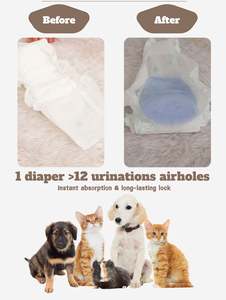 Fournisseur de couches jetables pour animaux de compagnie en gros, super absorbantes, douces, couches jetables pour chiens femelles et mâles - Product Image 6