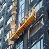 Plataforma de Andamio Suspendido ZLP800 de 800 kg, Pintada, para Limpieza de Ventanas, de Acero